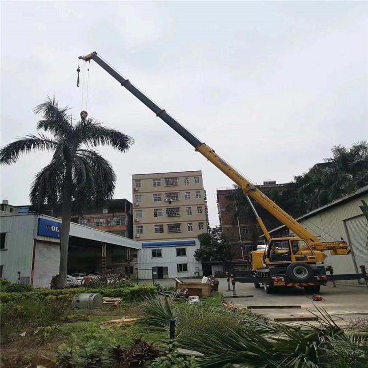 昭平吊车吊大树几种方法